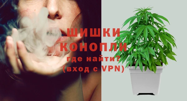 MESCALINE Аркадак