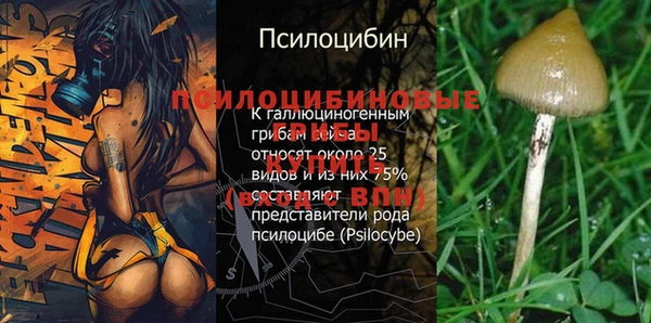 хмурый Арсеньев
