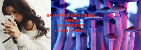MESCALINE Аркадак