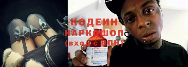 хмурый Арсеньев