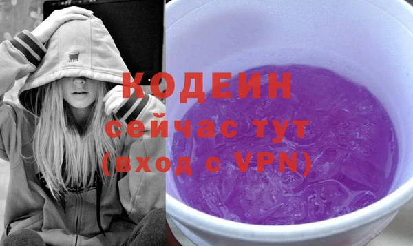 хмурый Арсеньев