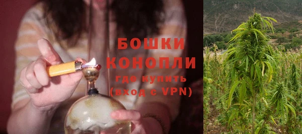 MESCALINE Аркадак