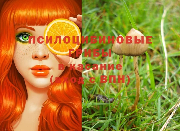хмурый Арсеньев