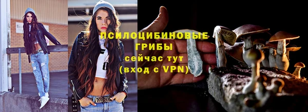 MESCALINE Аркадак