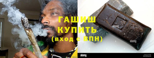хмурый Арсеньев